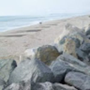 Meet your Posher, Rachelle